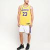 Nike NBA Association Edition Swingman Lakers Дышащие баскетбольные шорты мужские белые AJ5616-100