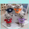 High Quality Cat Plush Keychain Soft Toy For Kids Backpack Accessory Doll