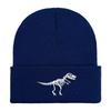 Winter new dinosaur pattern embroidery knitted hat pile wool hat thermal hat versatile pile hat