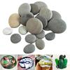 5 Pcs Painting Pebbles Natural River Rocks Smooth Unpolished Flat Pebbles for Kids Adults Painting Art DIY Crafting Garden Decor