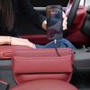 Car Seat Side Gap Filler Storage Box Wallet Key Card Cup Phone Sundries Multipurpose Organizer Pocket Direct Install Accessories