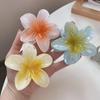 Bauhinia and Plumeria Temperament Hair Clip - European & American Style