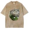 Watermelon Cat Silly Cat Meme T-Shirt Summer Sport Loose T Shirt Tops Shirt Is A Stylish Unisex Top for Both Men and Women