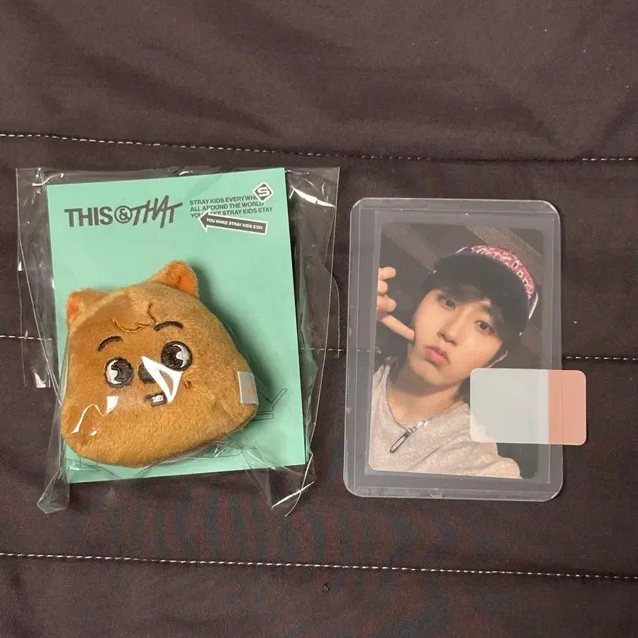 stray kids SKZ Pop-Up Ski Zoo Magnetic Holder Han Quokka Han