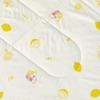LUOLAI Holiday Lemon Ultra-Soft Summer Quilt