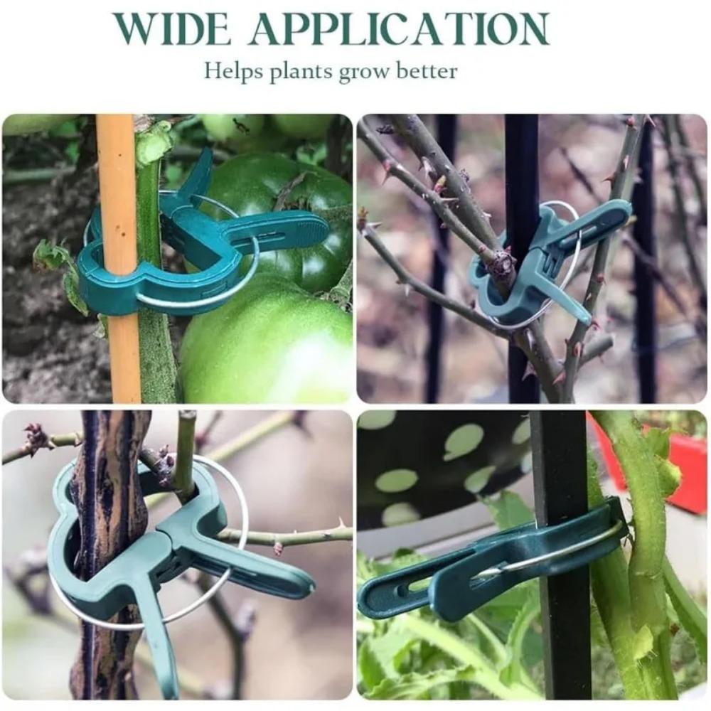 20/50pcs Plant Fixed Clips Reusable Garden Greenhouse Bracket for Fixed Plants Vine Flower Seedling Tomatoes Support Garden Tool