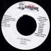 7inch Record SIZZLA - It's Burning NONE Don Corleon Rec 2003 Jamaica Reggae, Ska & Dub Used