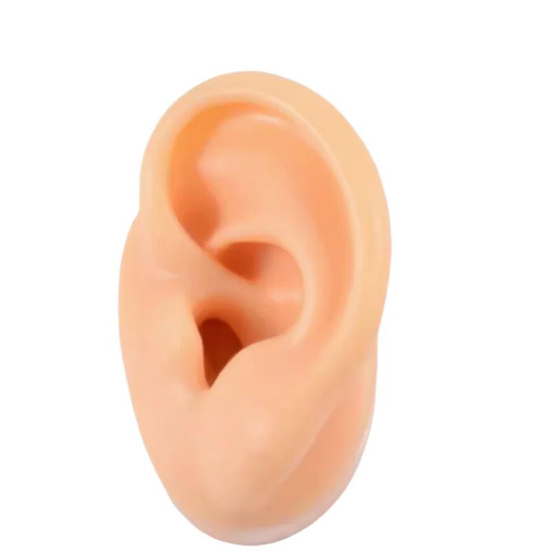 5D Силиконовая Модель Искусственного Уха, Имитирующая Настоящее, Пирсинг Сережек, Пирсинг, Пирсинг, Обучение, Слуховой Аппарат, Практика Акупунктуры, Реквизит
