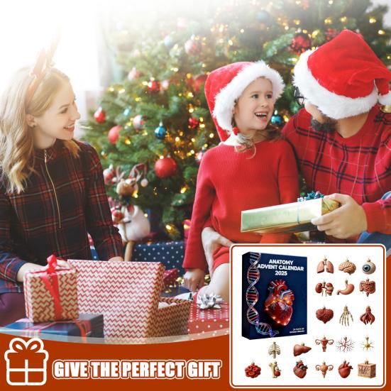 Анатомический адвент-календарь Yousheng 24 дня Календарь обратного отсчета частей тела Подарочная коробка с 24 миниатюрными акриловыми подвесными украшениями в виде органов Врачи Медсестры