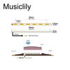 Musiclily Acoustic Guitar Pickup. Piezo