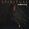 LP Пластинка SPIRITUAL - Awaking VPRL2488 VP 2016 США Регги, Ска и Даб Б/У
