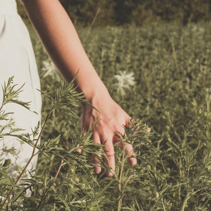 W.DRESSROOM Парфюмированный крем для рук No97 Апрель Хлопок 50мл