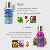 10ml Air Freshener Auto Car Outlet Perfume Replenishment Aromatherapy Oil Natural Plant Essential Automobiles Vents