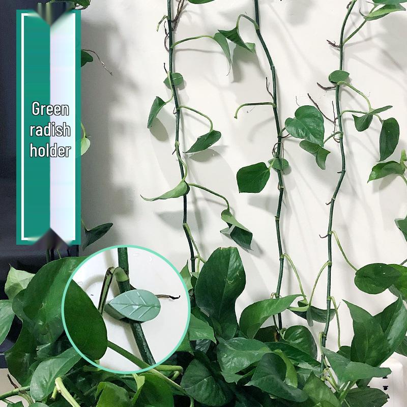 Pothos Wall Climbing Plant Fixer: Seamless Shaping Hook for Home Use