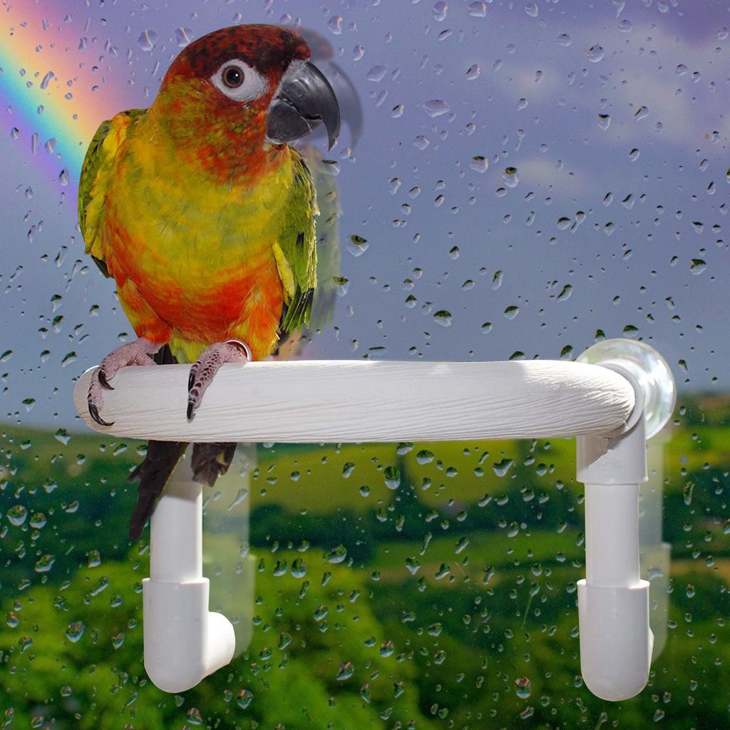 Parrot Bird Shower Perch with Portable Suction Cup Bird Cockatoo Bath Perch Toy Standing Platform Bath Stand