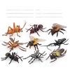 Набор коллекционера насекомых с ПВХ осами, муравьями, сверчками, реалистичными моделями животных для научных проектов и подарков