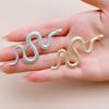 High-End European and American Snake Brooch: Stylish, Unisex, Trendy Cold Style Pin