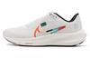 Женские кроссовки Air Zoom Pegasus 40 'All Petals United' FN8919-191