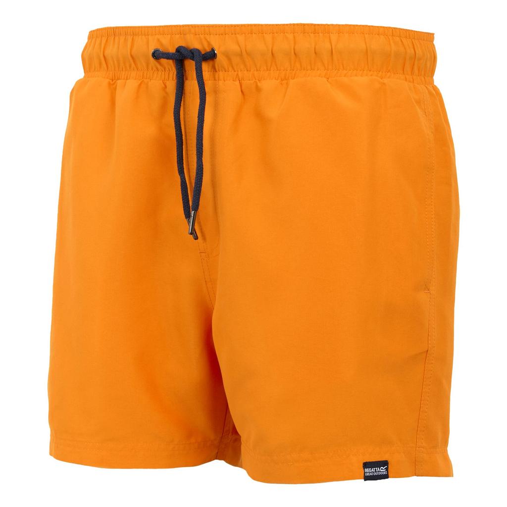 Regatta Mens Mawson II Swim Shorts