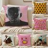 T-Tyler the Creator Rapper Pillow Case Anti-dustmite Pillowcase Invisible Zipper Silky Short Plush Sofa Cushion Cover