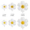Egg Flower Sunflower Balloon Large Medium Small Daisy Flower Smiley Face Decoration Aluminum Film Balloon