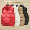 Women Autumn Winter Stand Collar Zipper Big Pocket Solid Color Warm Coat Chic Vest