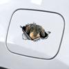 3D Wire Haired Dachshund Car Sticker, Fun Waterproof Sticker for Cars, Trucks, Motorcycles, Walls, Windows, PVC Material