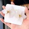 Shape Fashion Acrylic Resin Gifts For Women Girls Drop Earrings Studs Earrings Jewelry Accessories