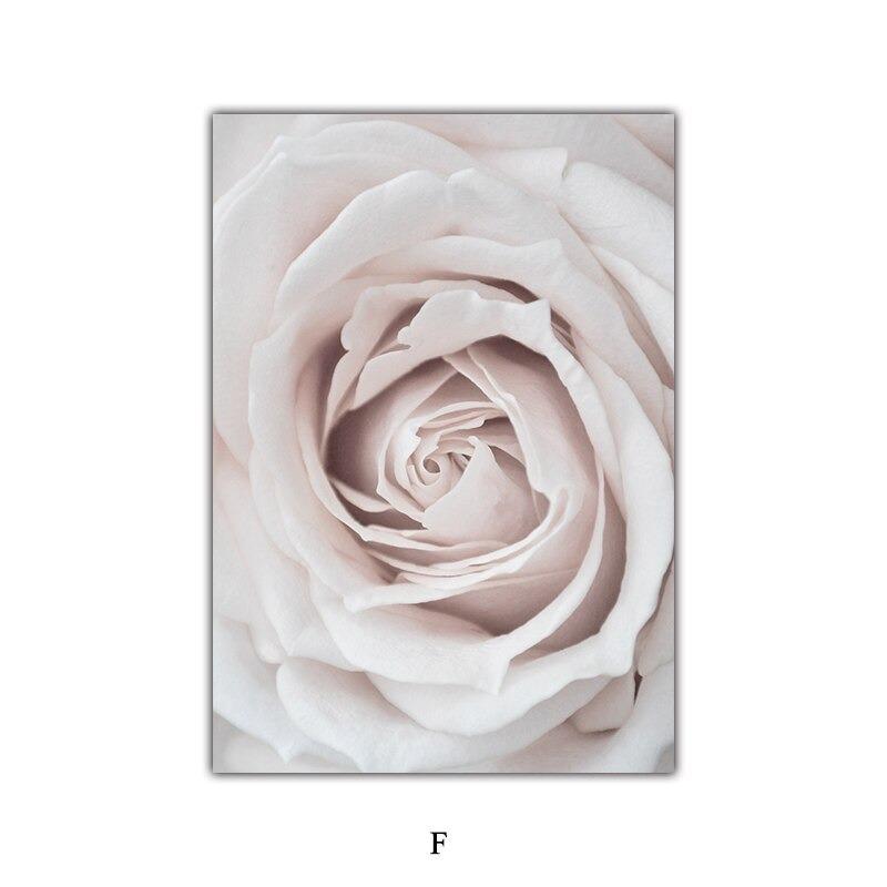 Семена цветов пустыни Скандинавский природный ландшафт Постер Фреска Настенное искусство для пар Бохо Нордический декор настенные картины Идеально для