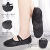Linodes Ballet Dance Shoes, Made of PU, No Laces, Beginners,