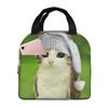 Meowl Кот Сова Мем Термоизолированные Сумки для Ланча в Школу Портативная Сумка для Еды Охладитель Термо Ланч-Бокс