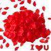 Artificial Flowers Petals for Romantic Night Rose Petals 1000pcs Red Silk Petals Party Wedding Valentine's Day Flower Decoration