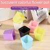 Colorful Mini Black Square Plastic Flower Pots for Succulents