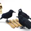 3 шт./набор Тема вороны, макета птицы, Садовая статуя, Скульптура, Игрушка, Перо, Животное, Фестивальное украшение, Реквизит, Праздничные принадлежности, Украшение