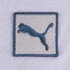 Puma Удобные Модные Универсальные Повседневные Шорты Женские шорты Светло-Фиолетовый 690218-47