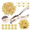2025 Trend 300 Pieces 3/4 Inch Brass Paper Fasteners Paper Brads, And 300 Pieces Plated Brass Washers With Hole Punch Gold, 20Mm