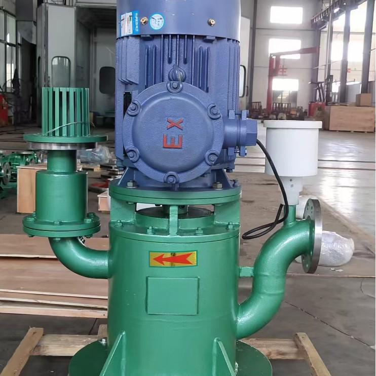 Self-Priming Sealless Vertical Pump