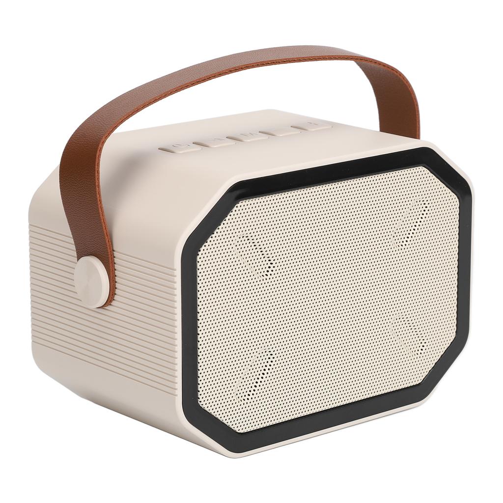 Караоке-машина, белая колонка для караоке с 2 беспроводными микрофонами, ручная ослепительная подсветка для караоке