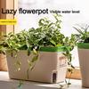 Indoor Flower Planter Box Vegetable Planting Pot Double Layer Self Watering Plant Pot