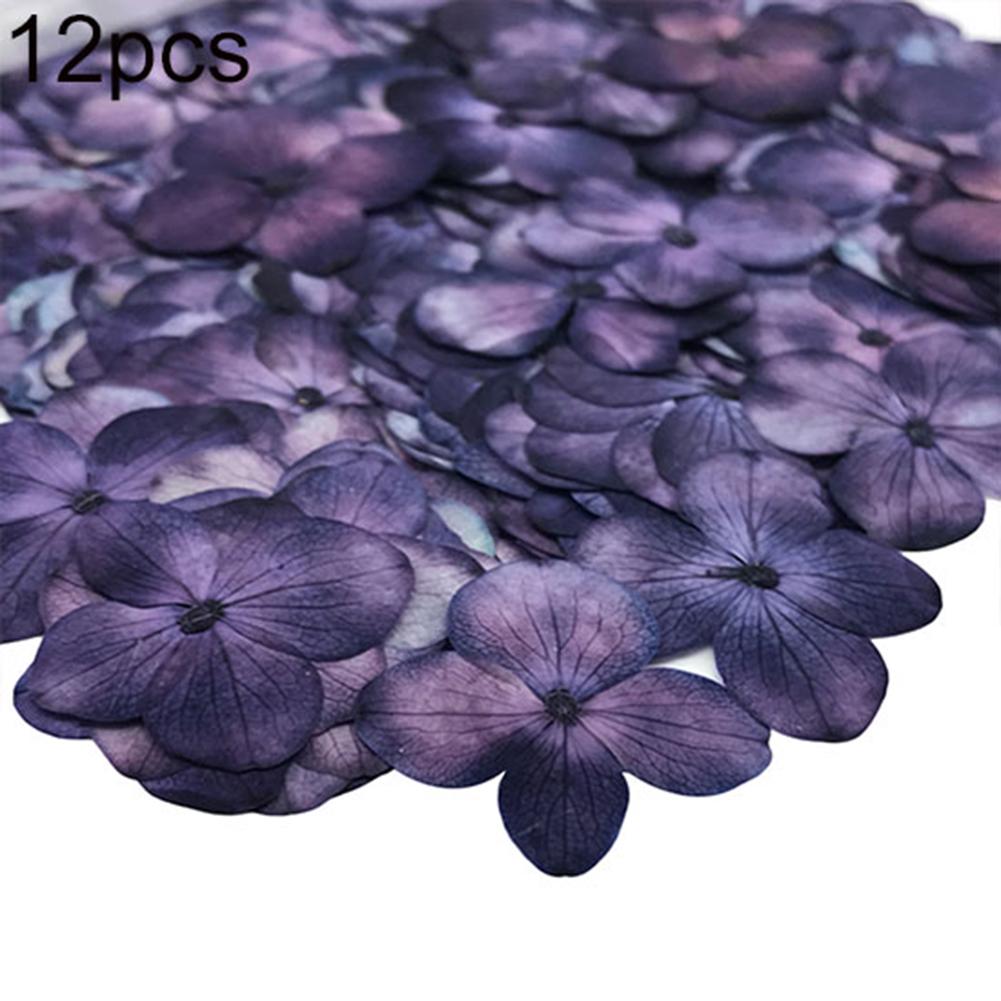 Yousheng Dried Flower 12Pcs Pressed Plant Specimen Epoxy Resin Phone Decor DIY Accessory