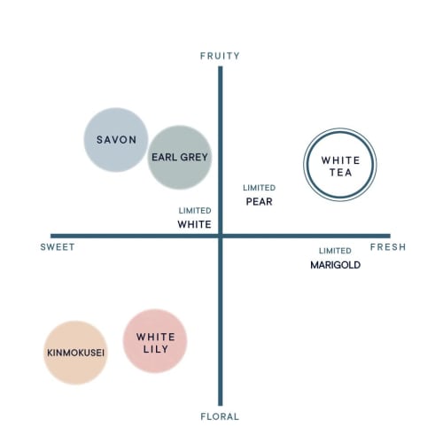 SHIRO White Tea Hair Oil 30mL Hair Care