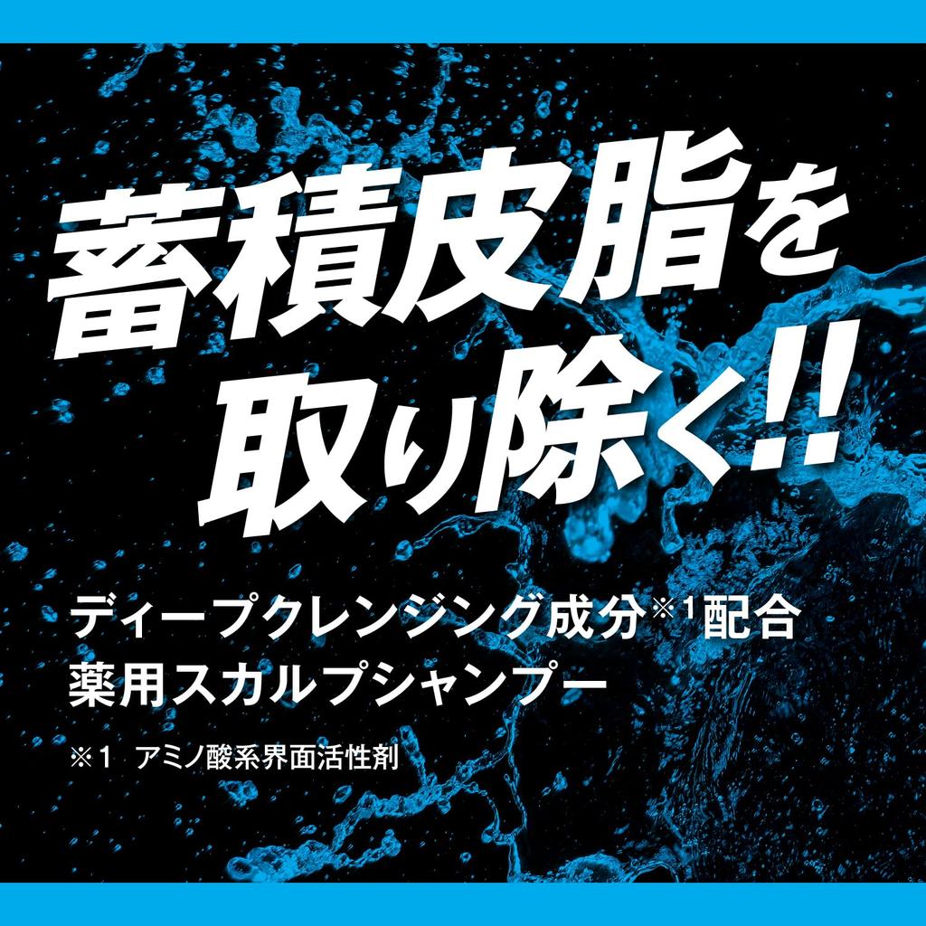 Taisho Pharmaceutical Riup Scalp Shampoo 400mL Itching Scalp Environment Medicinal Sebum Cleansing Moisture Replenishment Scalp Problems Stickiness