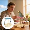 Натуральные жердочки для птиц Деревянные Игрушка для попугайчика-волнистика Игрушки для обогащения кореллы Для ара Конура Волнистые попугайчики Родители питомцев Любители животных