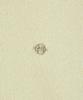 BEYOND CLOSET [Collection Line] Weaving Collar Detail Cotton Knit Ivory