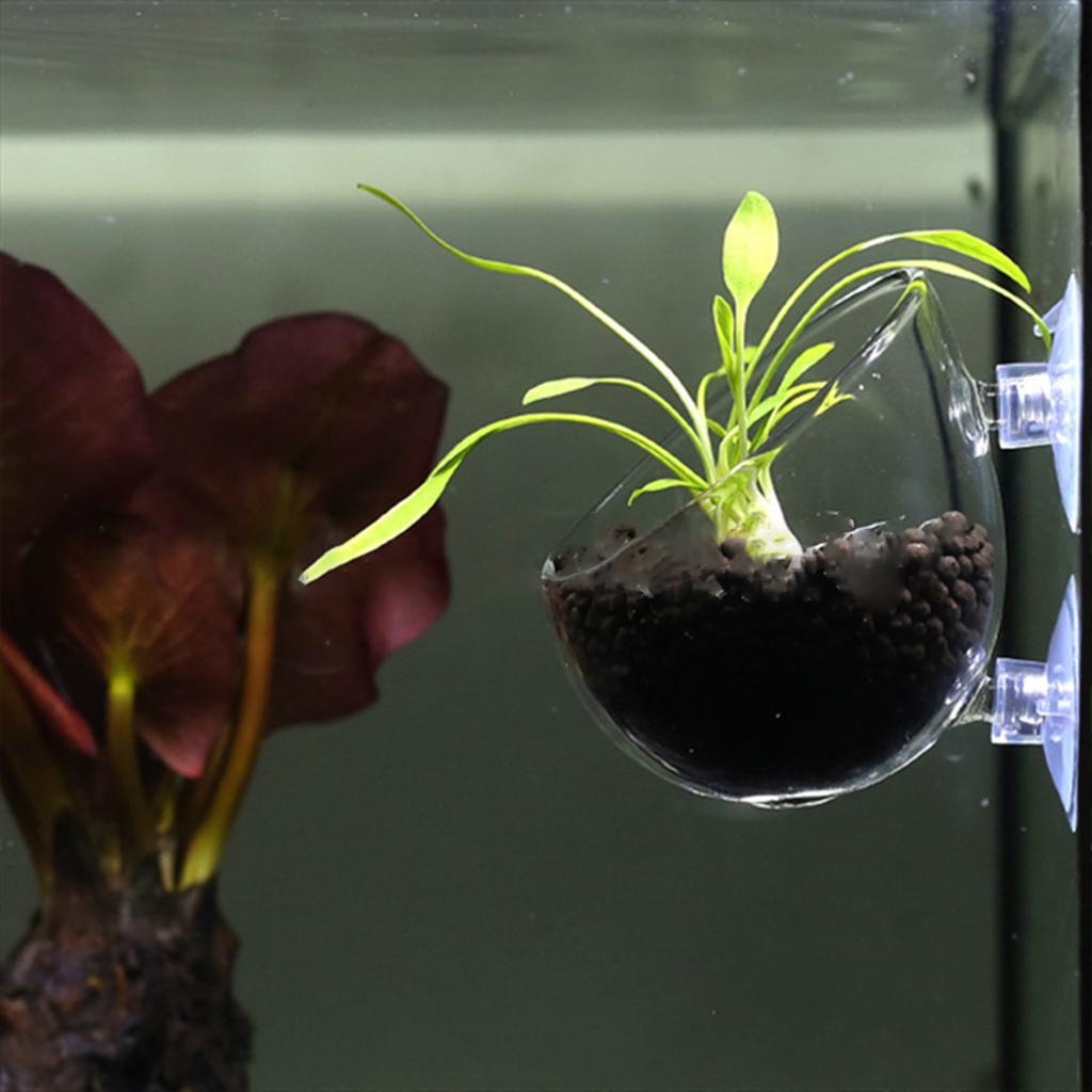 Стеклянные стаканчики для растений с присосками для водных растений, декоративный горшок для аквариума, ландшафтный аквариум