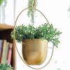 Modern Wall & Ceiling Home Decoration Swinging Hanging Basket Planter Flower Pot Plant Pot