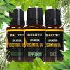 Bilovit 3-Piece Essential Oil Set For Concentration