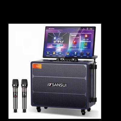 Портативная KTV колонка Sansui Singer Q109P, штекер CN (адаптер в комплекте)