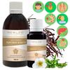 White Cinquefoil Extract Tincture Herbal Liquid Supplement Dietary New Life