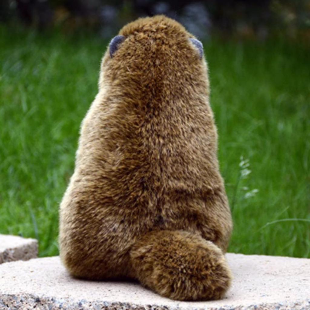 lilizzhoumax Realistic Groundhog Super Soft Groundhog Stuffed Kids Brown Plush, Animal, Girl's Toy, Gift, 9-Inch